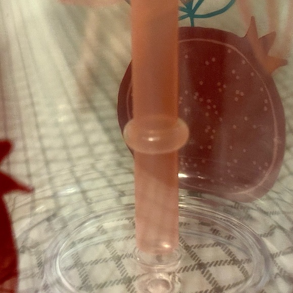 ‘2-BRAND-NEW’ 16OZ. POMEGRANATE THEMED TUMBLERS WITH NEVER-LOSE-STRAWS… - Picture 5 of 5